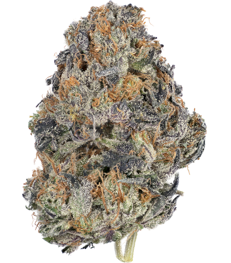 El Chapo - AAAA ***Fresh Harvest***