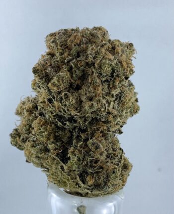Romulan - AAA