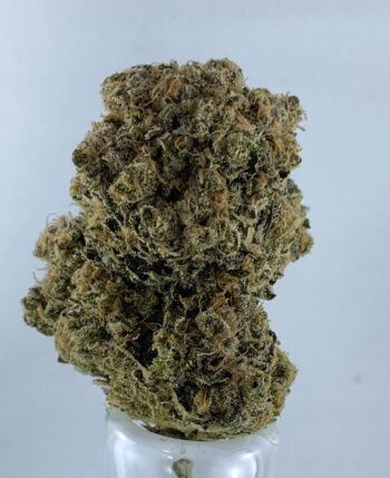 Ripped Off Runtz - AAAA+