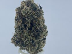 Space Cheese