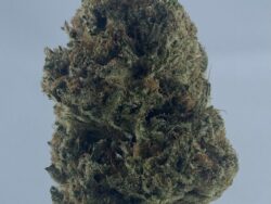 Super Widow Kush