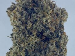 grape diamonds