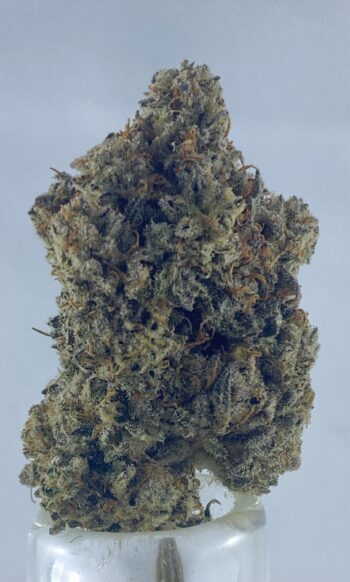 grape diamonds