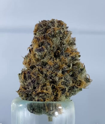 black cherry pie