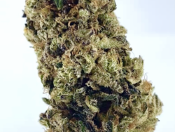 strawberry cheesecake