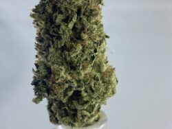 Cadillac Rainbow AAA+ INDICA ***LIVING SOIL ORGANIC***