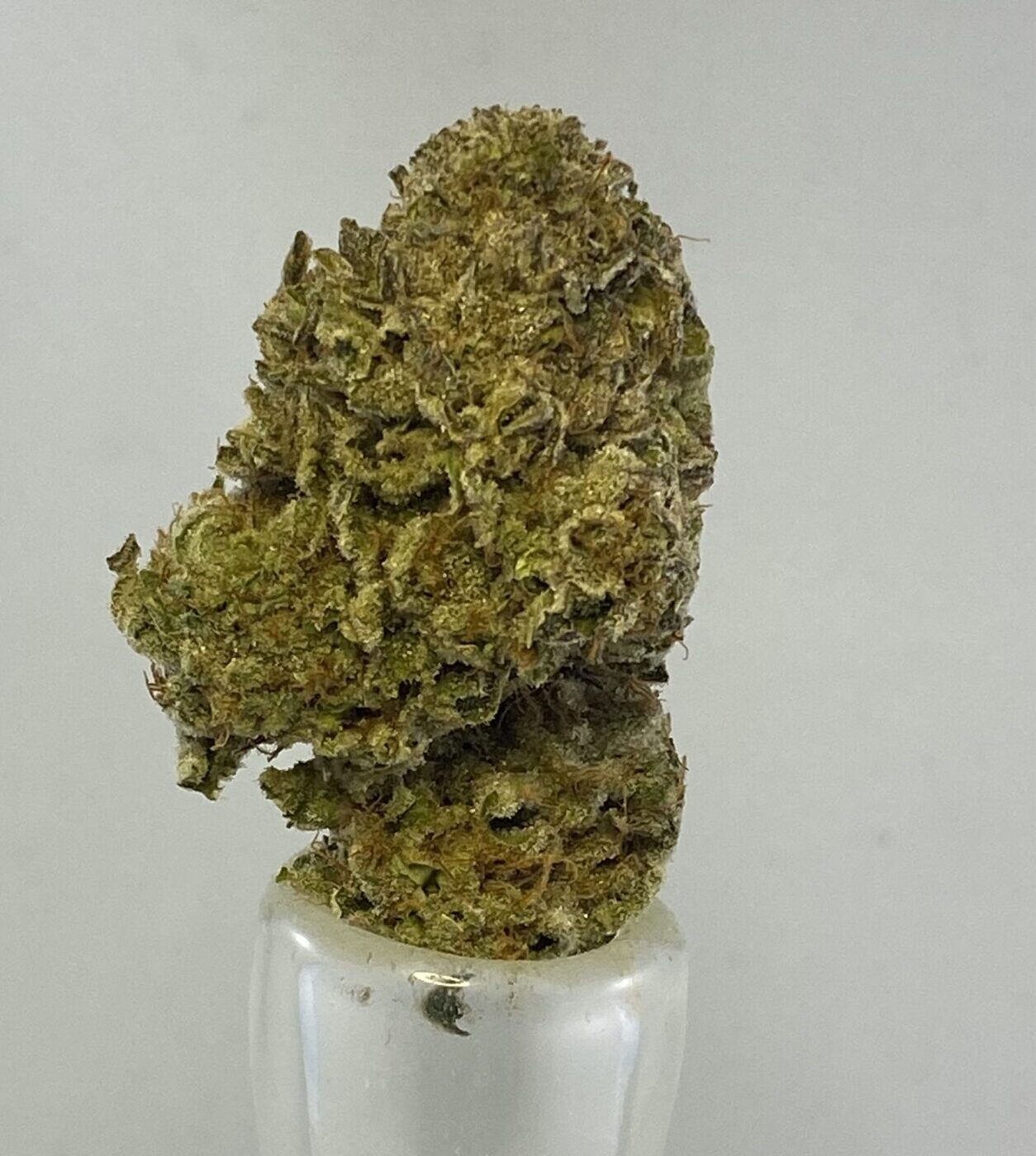 Ghost Train Haze - AAAA Sativa ***Fresh Crop***