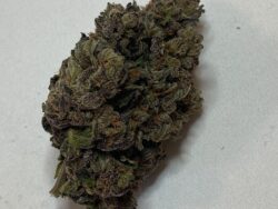 Cherry Pop - AAAA ***Limited Qty***