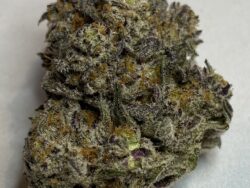 Cap Junky