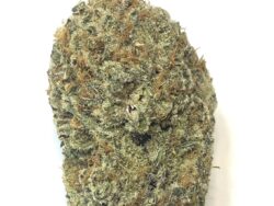 Zombie Kush