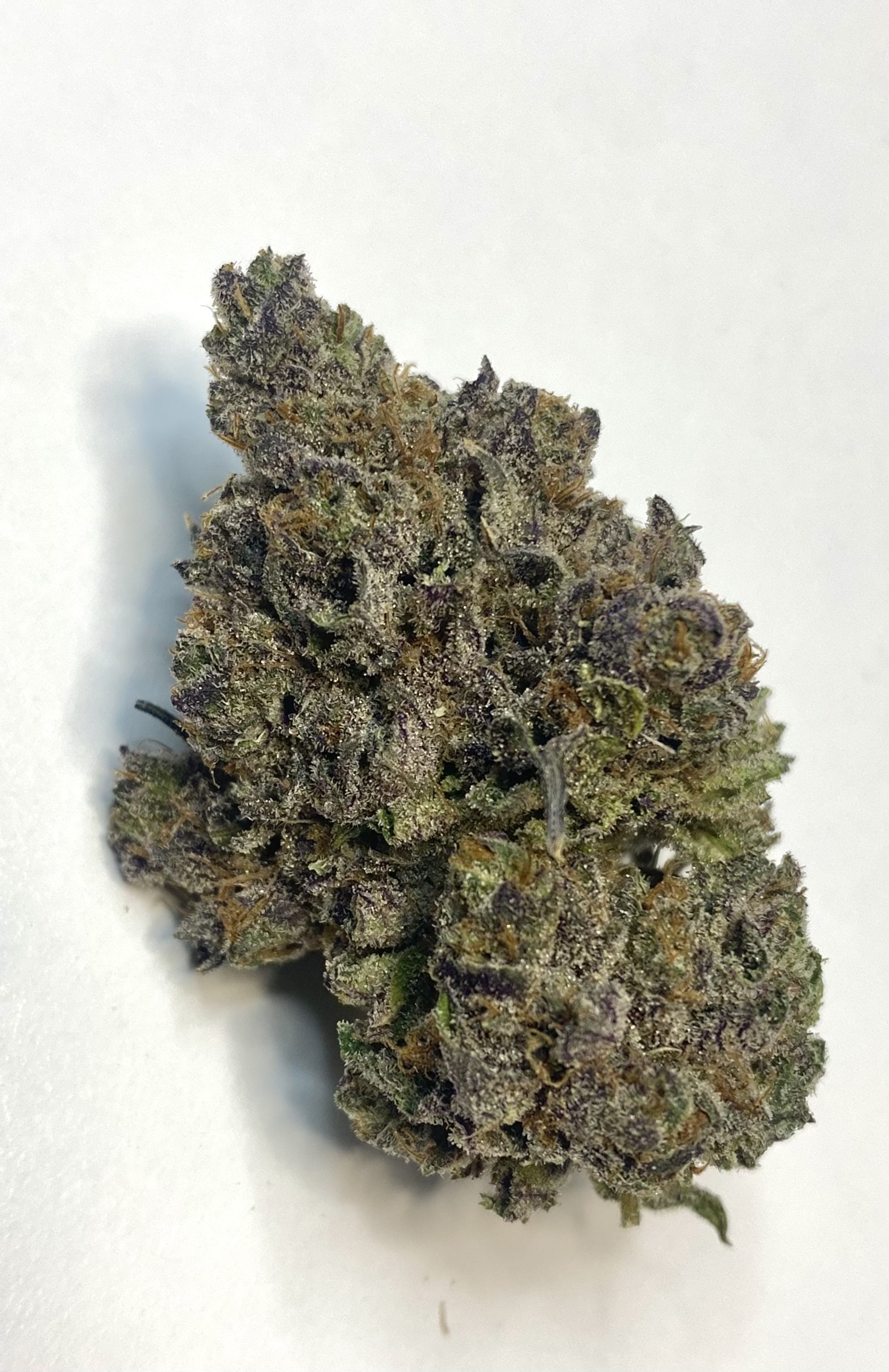 Stripper Glitter