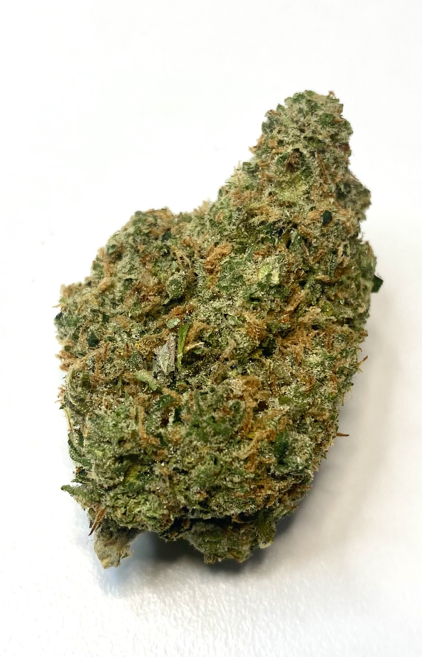 Lemon Skunk