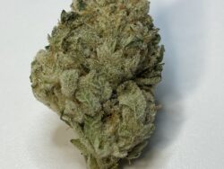 Wedding Frost