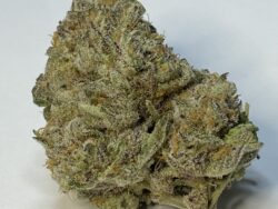 Black Runtz ***New STRAIN ALERT*** AAA+