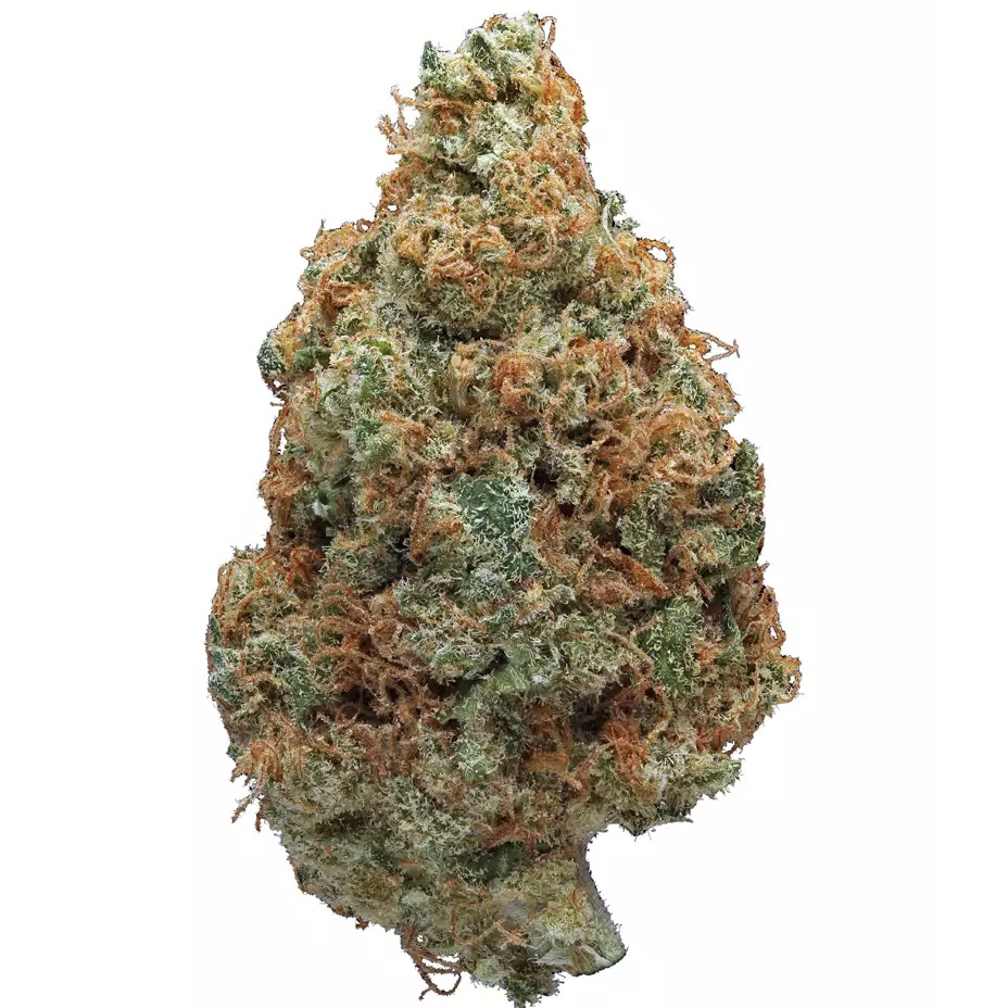 Hawaiian Punch - AAAA Sativa ***Fresh Crop/New Strain