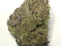Lilac Diesel